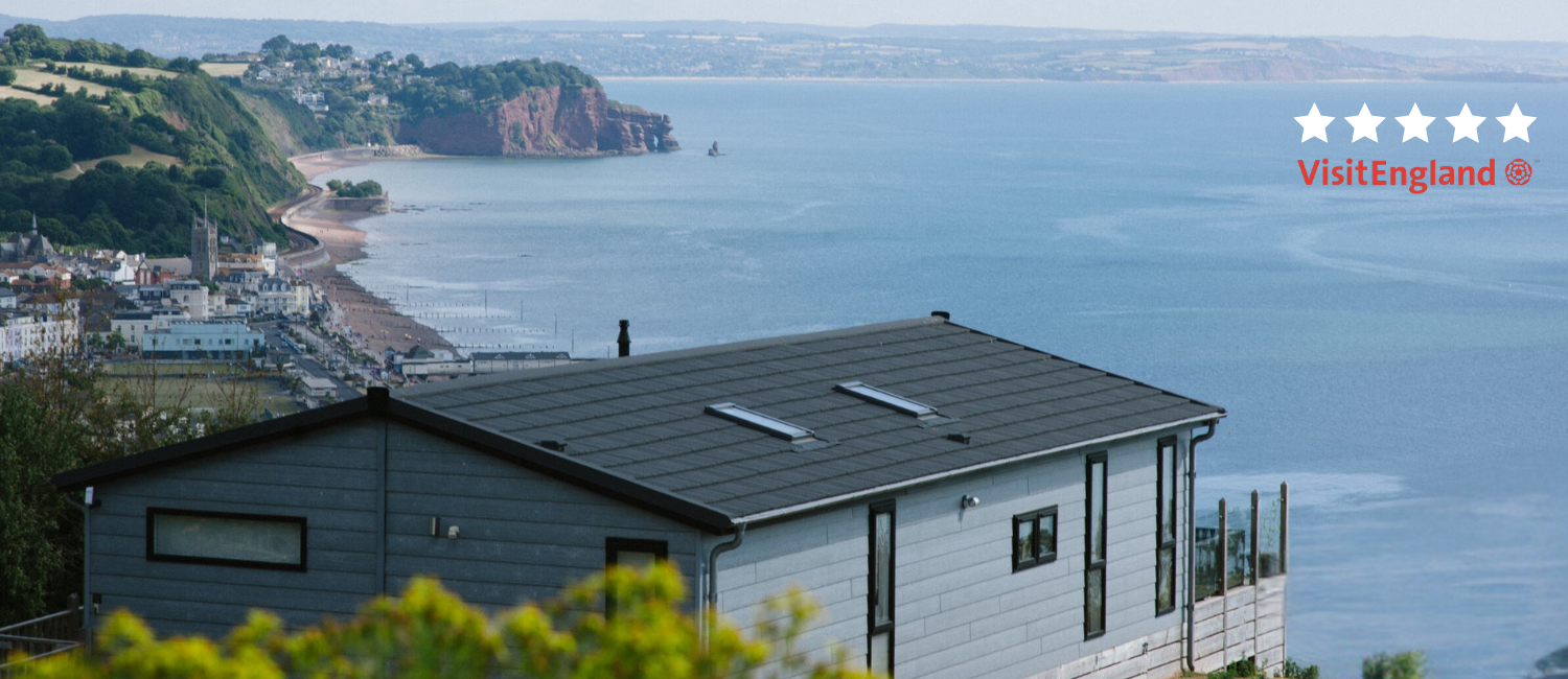 Untitled design (14)